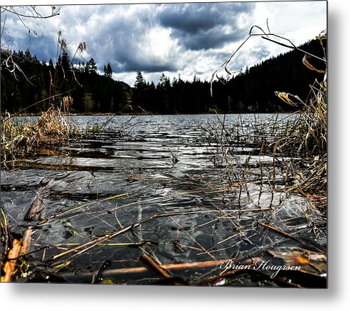At the park  1 - Metal Print