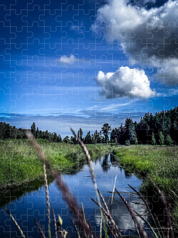 Reflection  1 - Puzzle