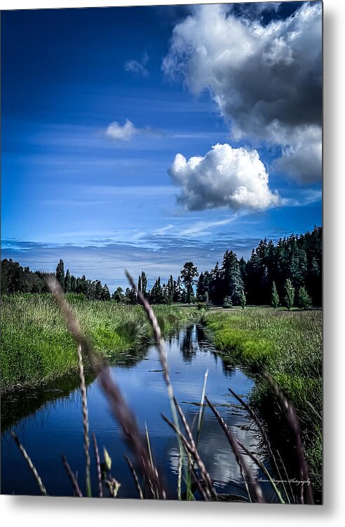 Reflection  1 - Metal Print