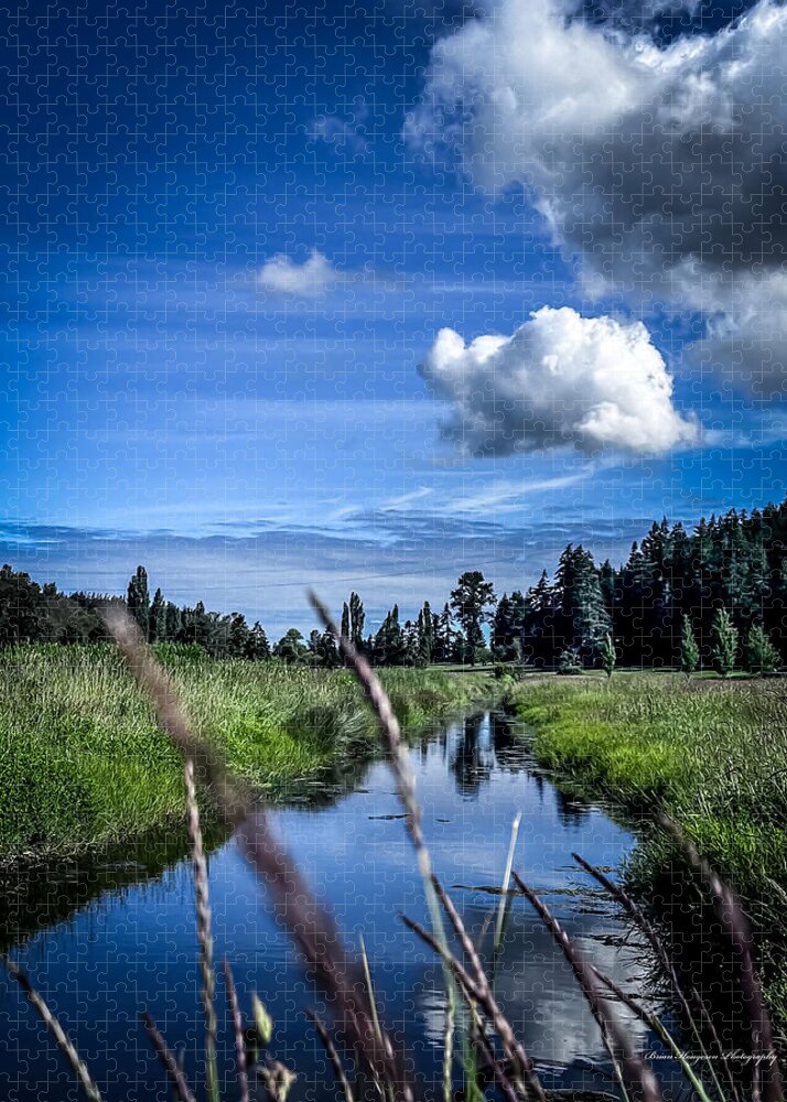 Reflection  1 - Puzzle