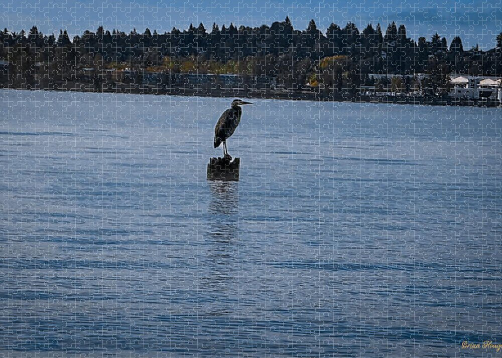Seagull 1 Puzzle photography artwork by Brian Hougesen