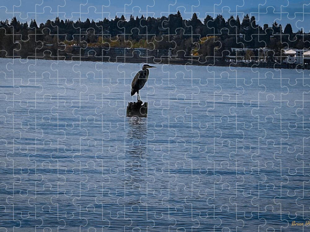 Seagull 1 Puzzle photography artwork by Brian Hougesen