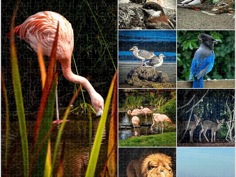 Wild life  1 - Puzzle