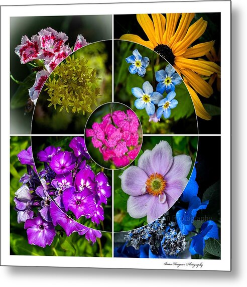 Flowers  2 - Metal Print