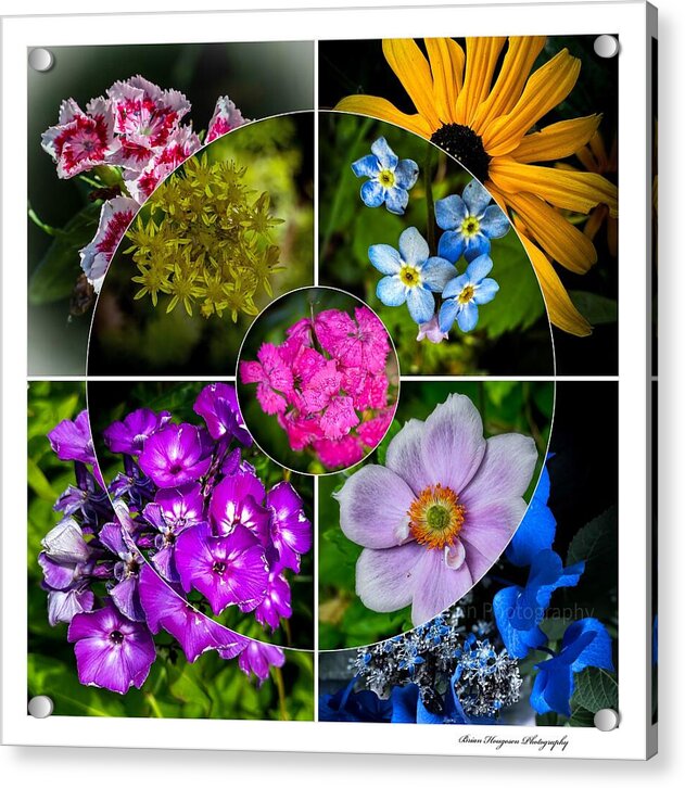 Flowers  2 - Acrylic Print