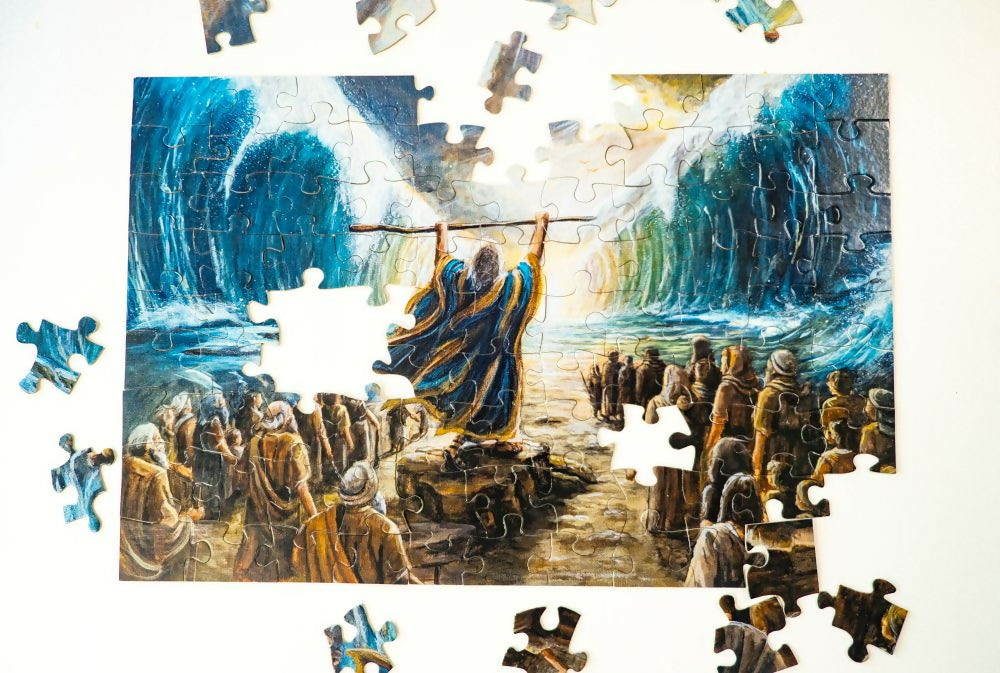 DSCF0588 moses puzzle smaller size