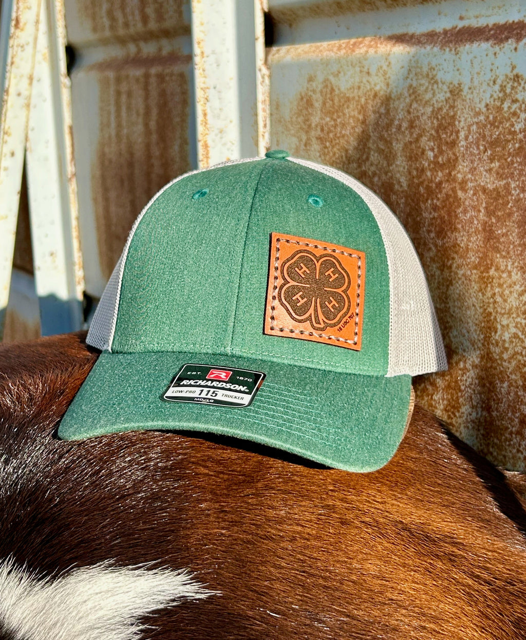 Green cap with leather patch on a cow's back