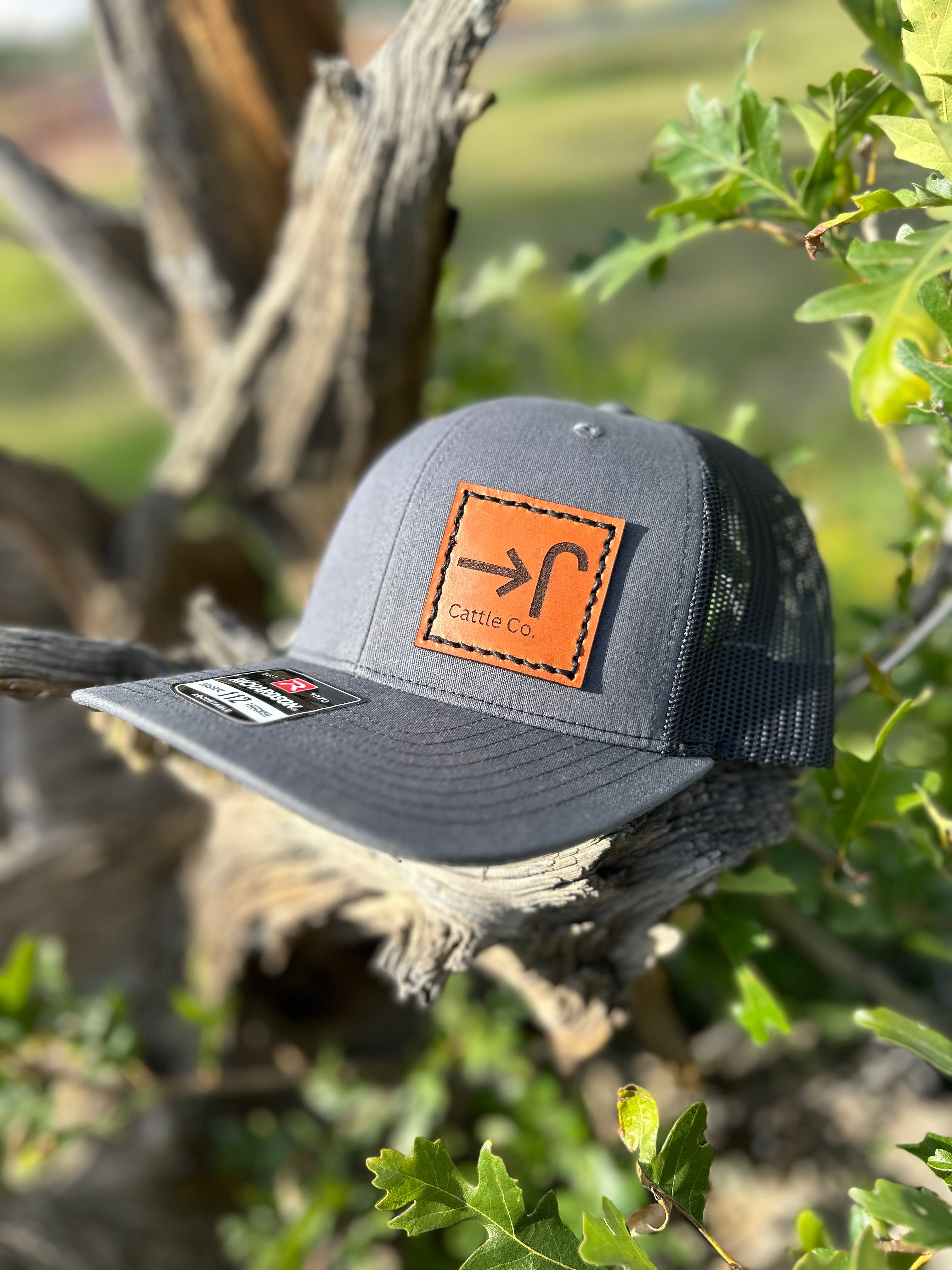 Gray cap with an tan patch on a branch