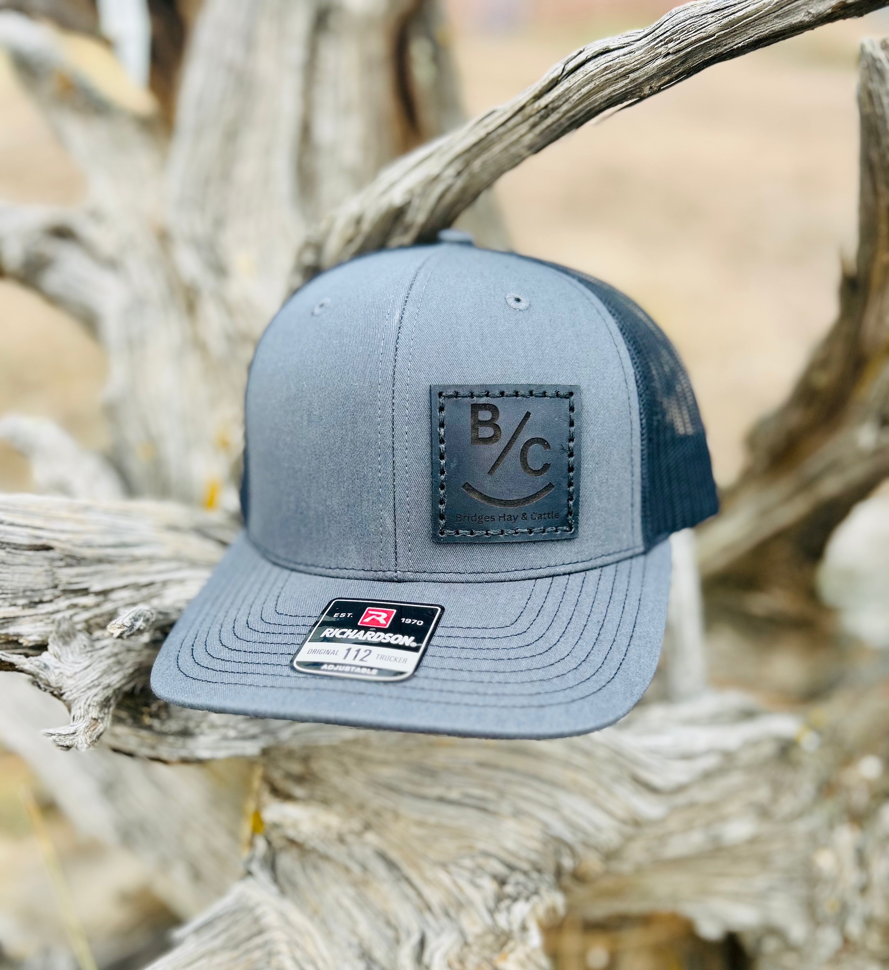 Gray and blue cap with a logo on a leather patch displayed on a branch