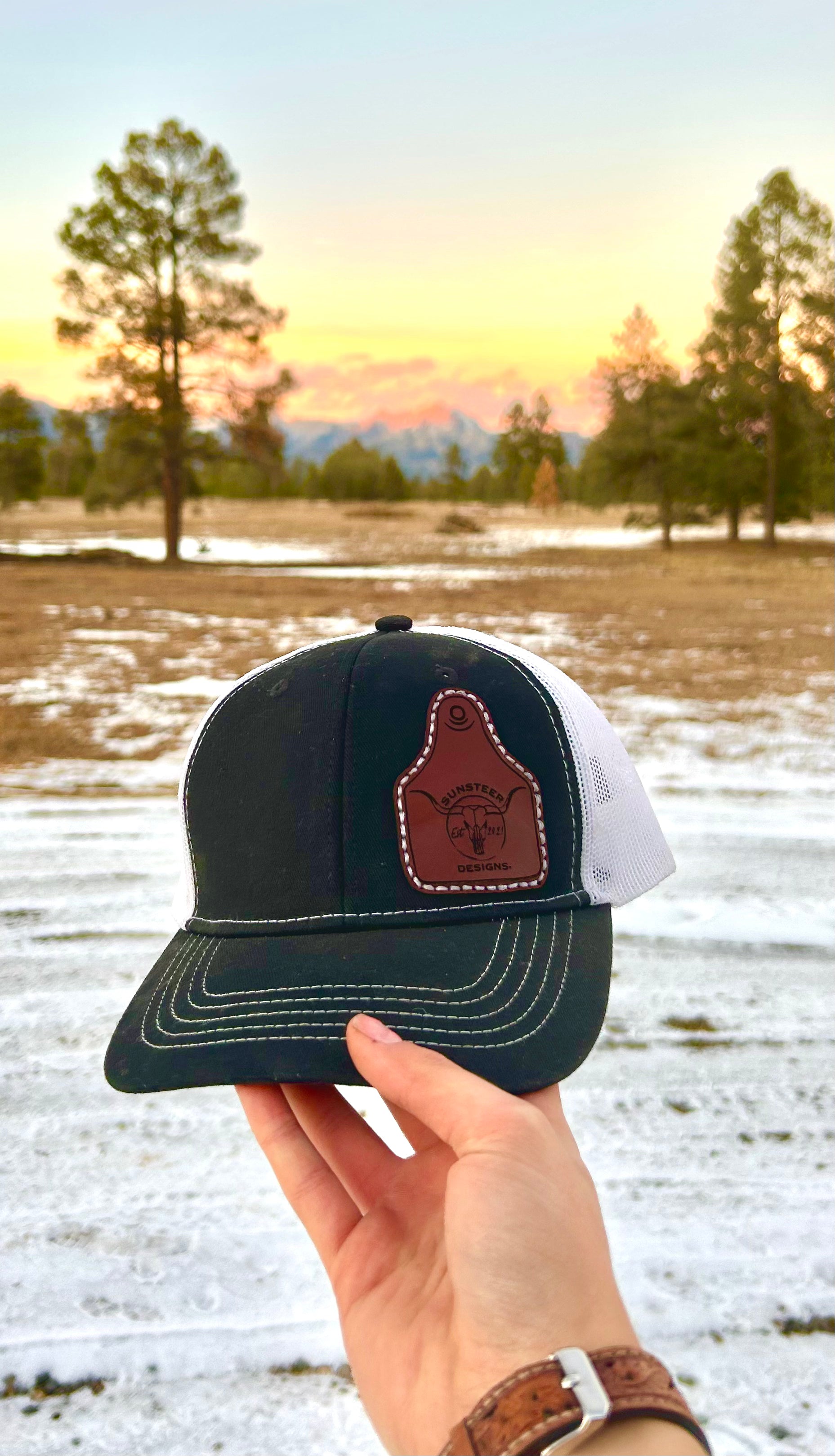 Black and white cap with leather patch held in front of a snowy landscape with trees and mountains.