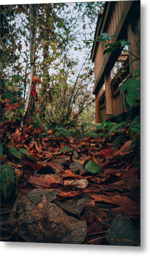 Autum leaves - Metal Print