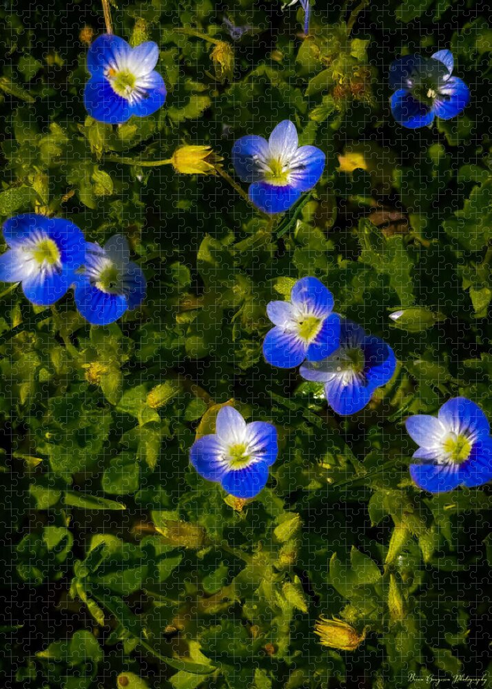 Booming blue - Puzzle