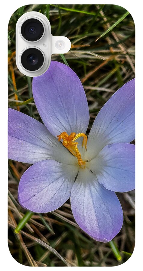 Daisy - Phone Case