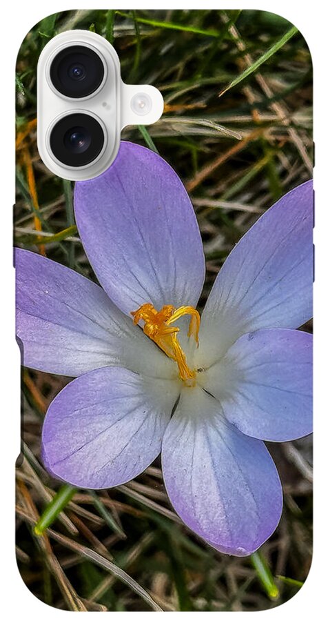 Daisy - Phone Case