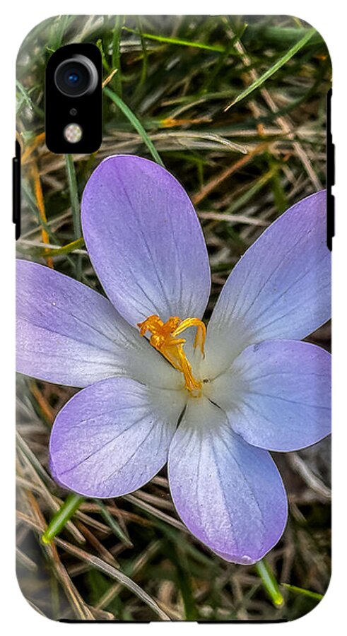 Daisy - Phone Case