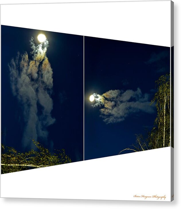 Different views - Acrylic Print