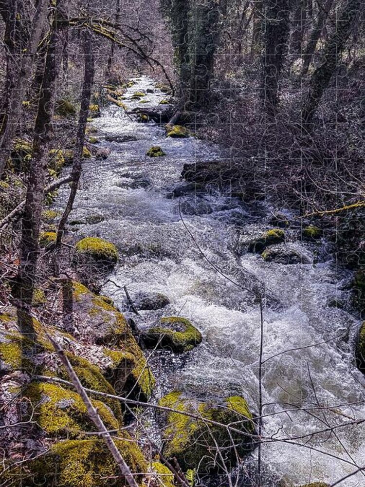 Flowing river - Puzzle