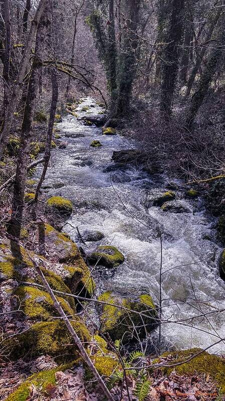 Flowing river - Art Print