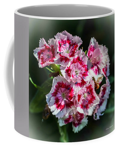 flowers-brian-hougesen_e4c09315-0742-4775-b4fc-3d1669a94554