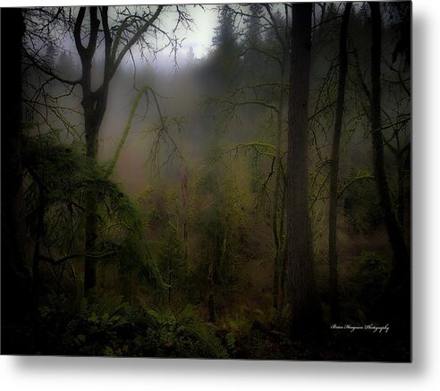 Fog - Metal Print