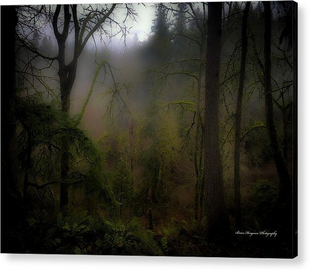 Fog - Acrylic Print