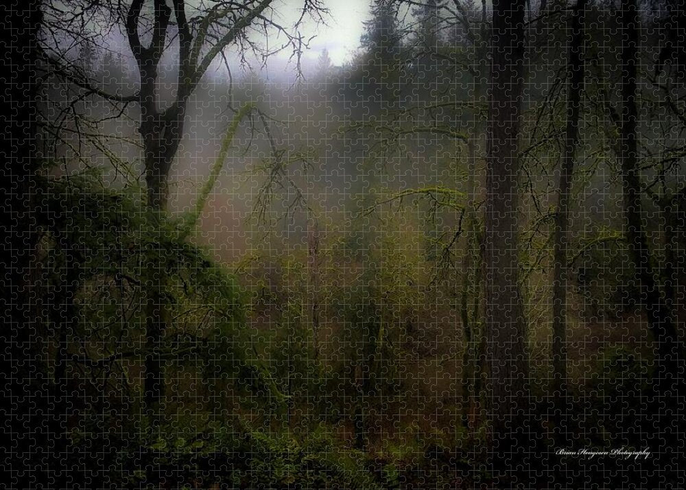 Fog - Puzzle