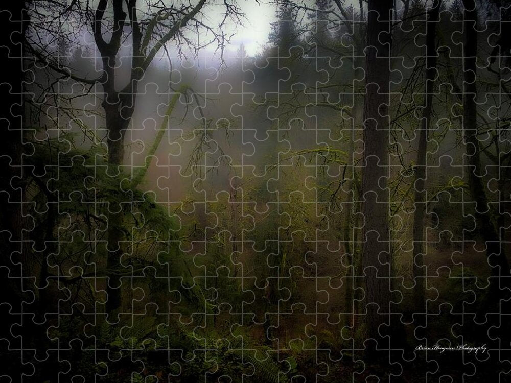 Fog - Puzzle
