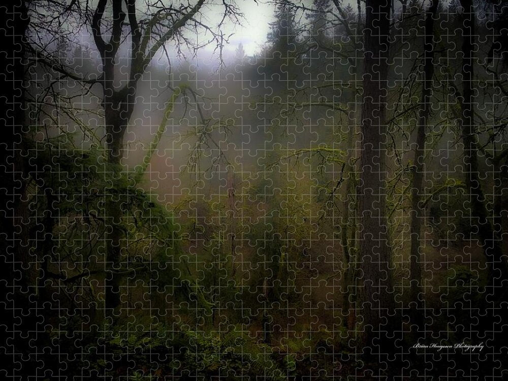 Fog - Puzzle