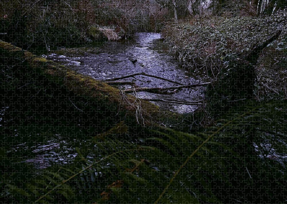 Moss-Covered Tranquil Stream - Puzzle