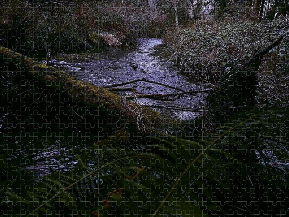 Moss-Covered Tranquil Stream - Puzzle