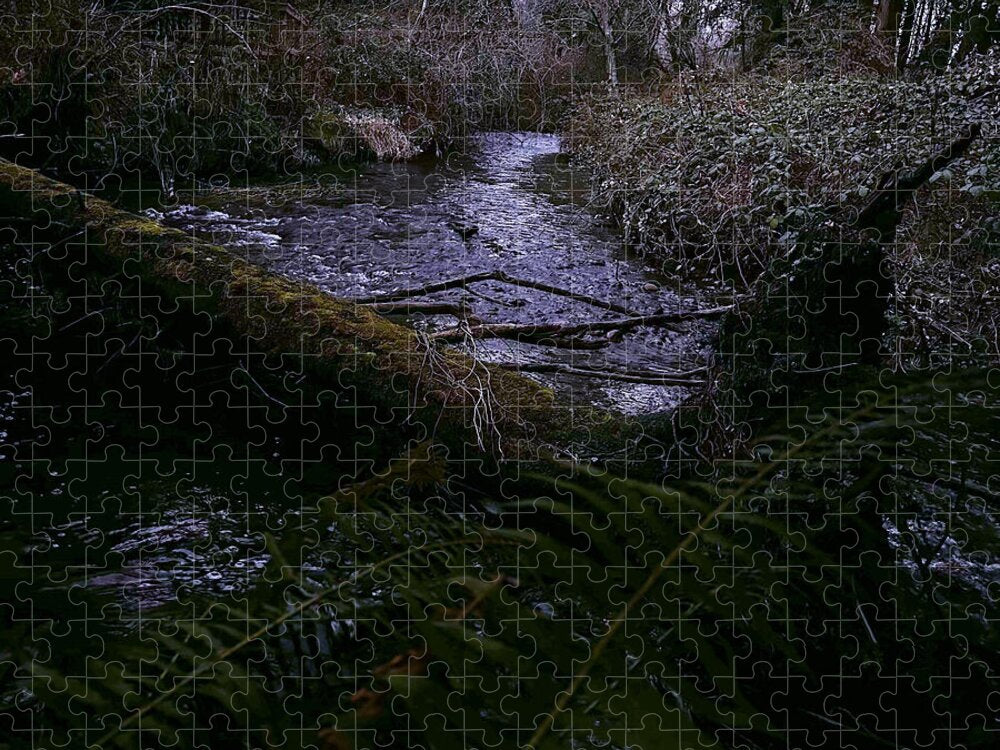 Moss-Covered Tranquil Stream - Puzzle