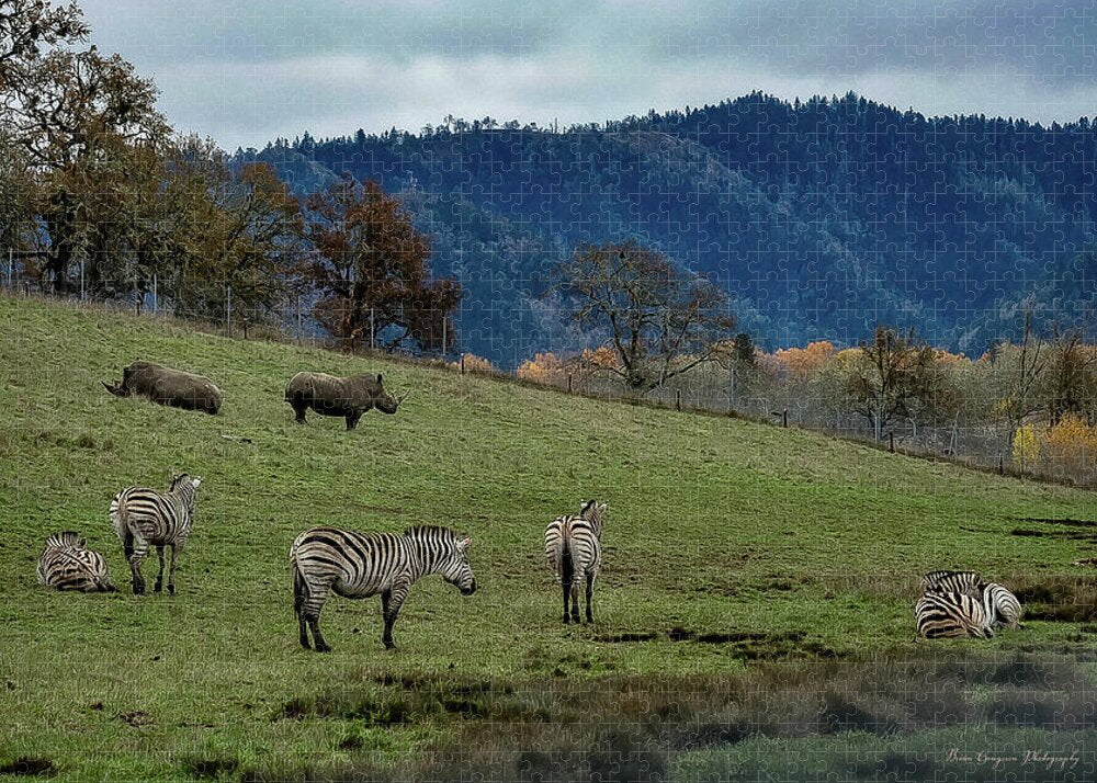 On the range - Puzzle