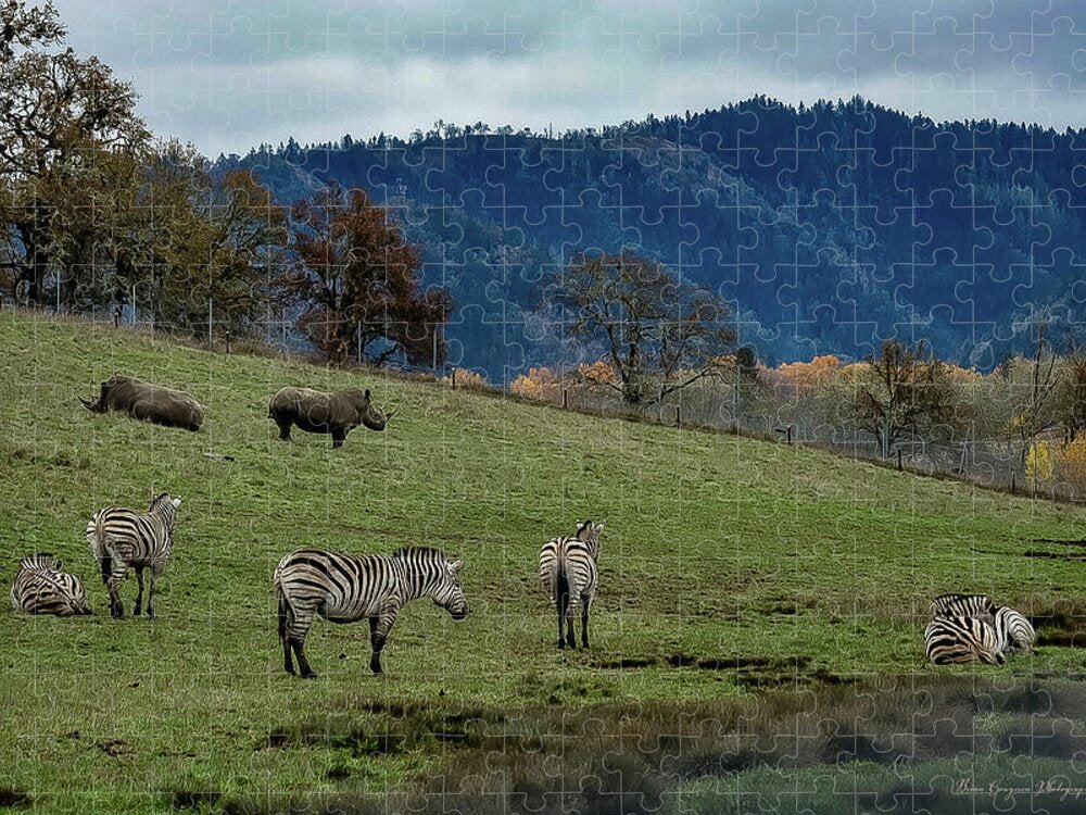 On the range - Puzzle