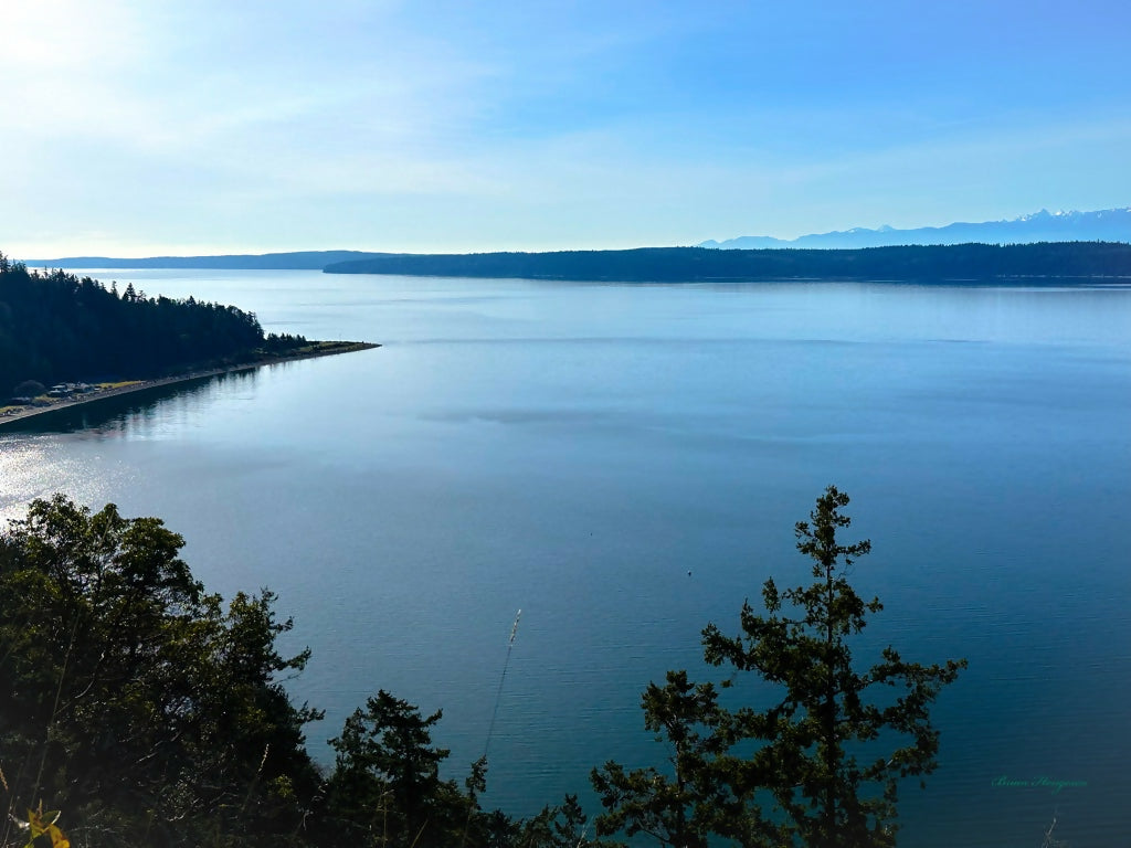 Serene-Ocean-View-Digital-Download-Preview