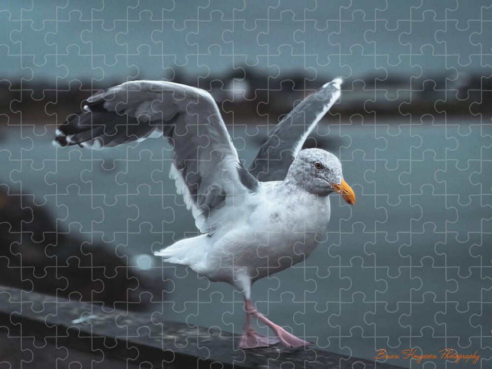 Seagull on a Seaside Rail - Puzzle