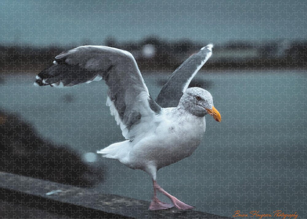 Seagull on a Seaside Rail - Puzzle