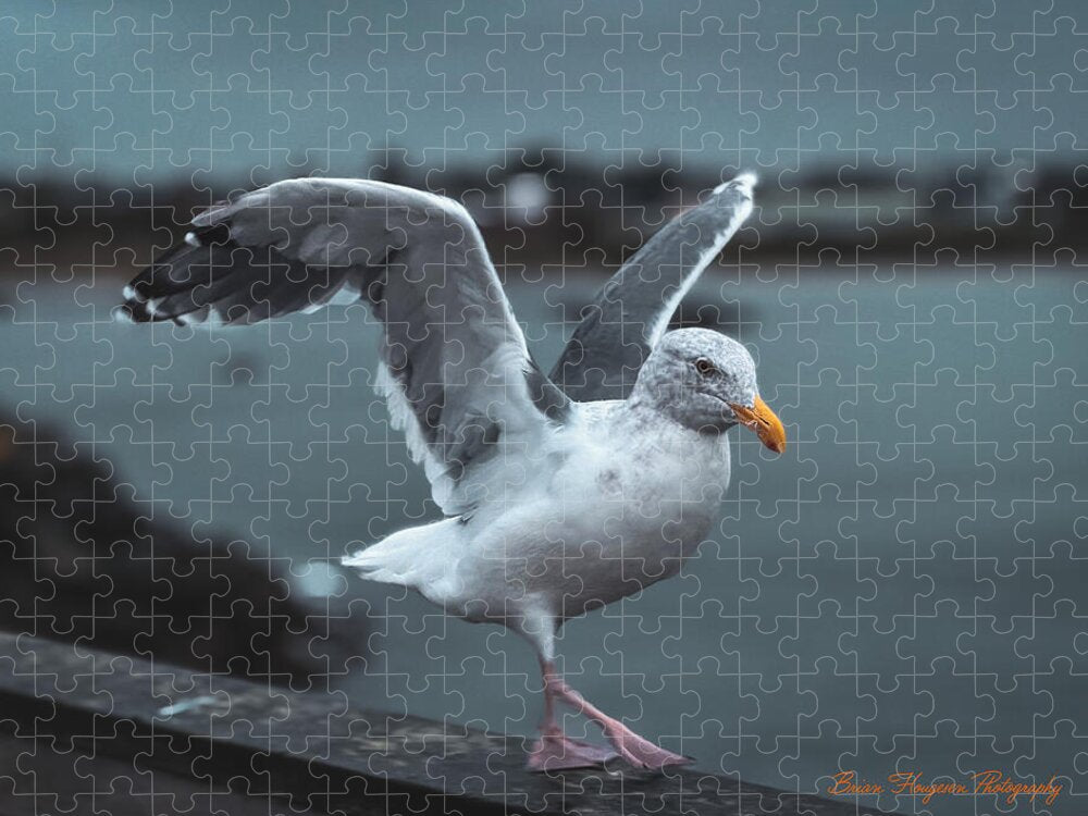 Seagull on a Seaside Rail - Puzzle