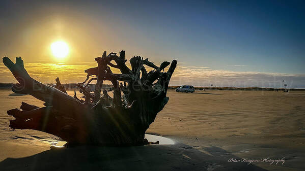 Sunrise - Art Print