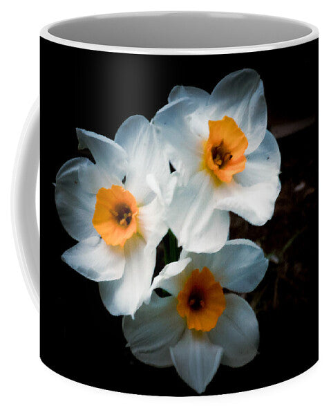 Three Daffodils in Bloom - Mug