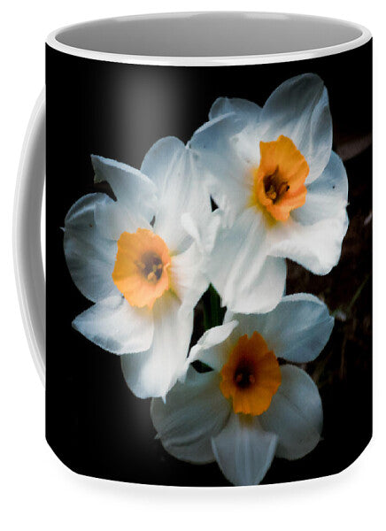 Three Daffodils in Bloom - Mug