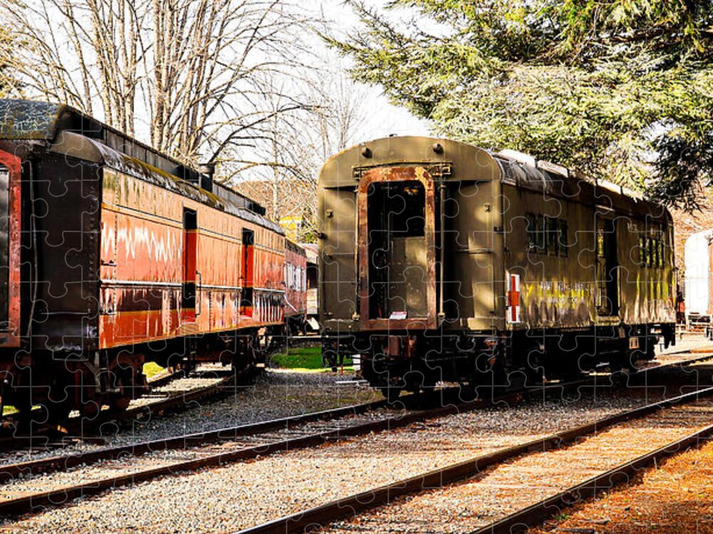 Vintage Train Cars on Tracks - Puzzle