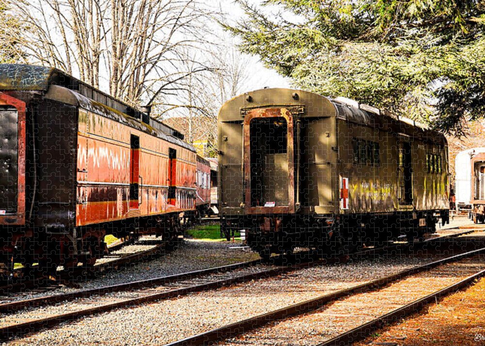 Vintage Train Cars on Tracks - Puzzle